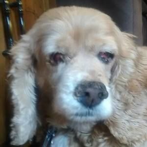 Meet your Posher, Maxine